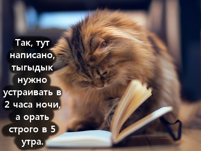 Хостинг картинок yapx.ru