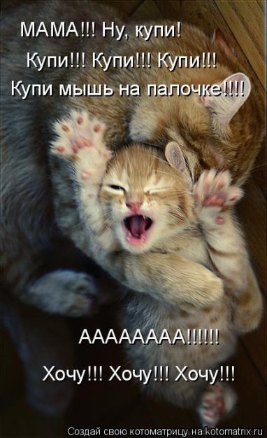 Хостинг картинок yapx.ru