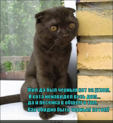 Хостинг картинок yapx.ru