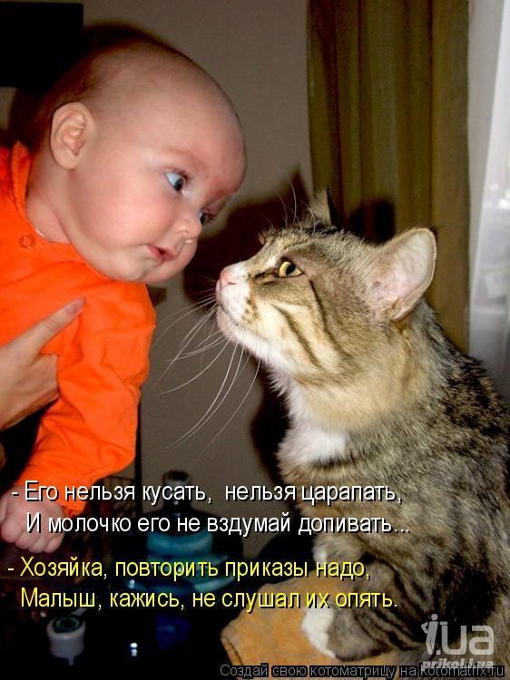 Хостинг картинок yapx.ru