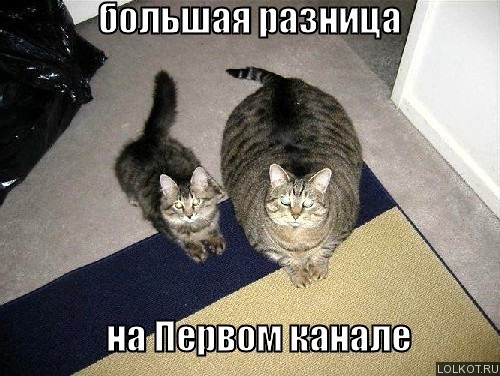 Хостинг картинок yapx.ru