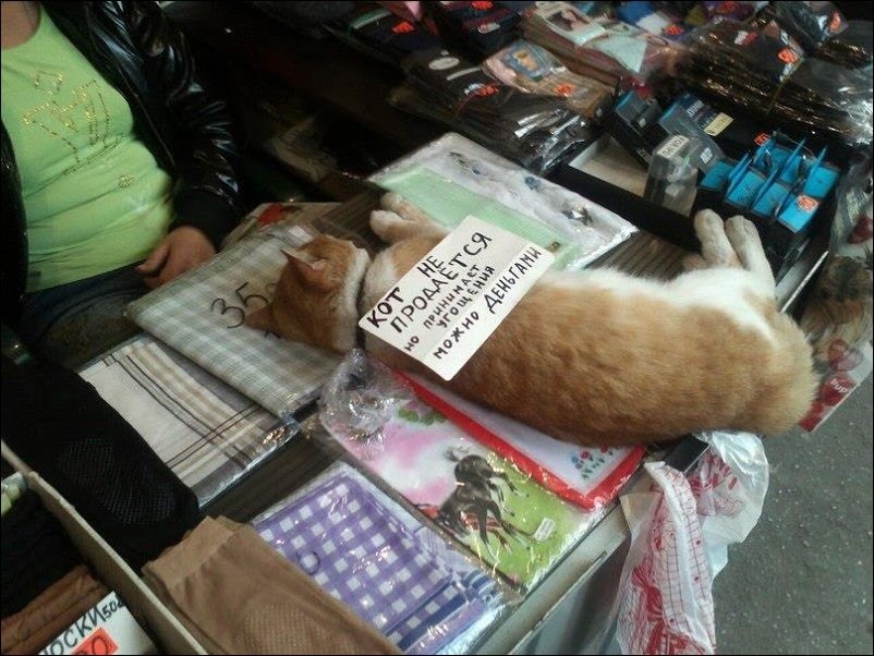 Хостинг картинок yapx.ru