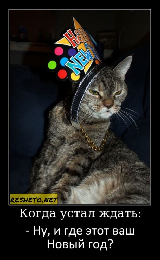 Хостинг картинок yapx.ru