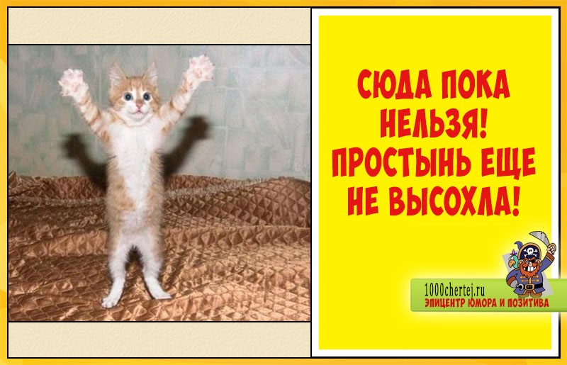 Хостинг картинок yapx.ru