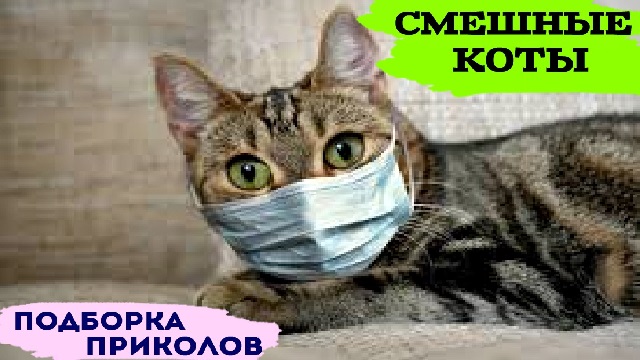 Хостинг картинок yapx.ru