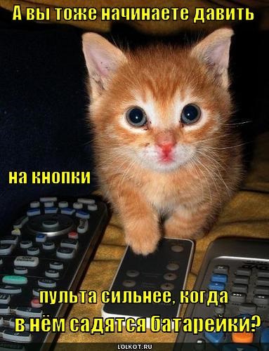 Хостинг картинок yapx.ru