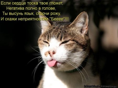 Хостинг картинок yapx.ru