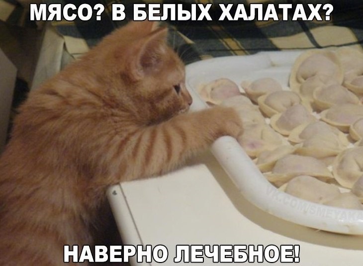 Хостинг картинок yapx.ru