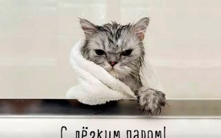 Хостинг картинок yapx.ru