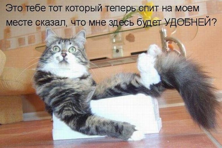 Хостинг картинок yapx.ru