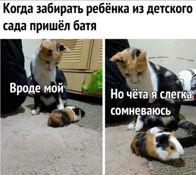 Хостинг картинок yapx.ru