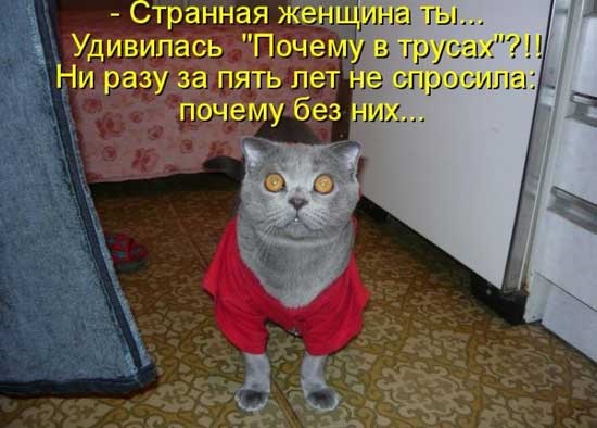 Хостинг картинок yapx.ru