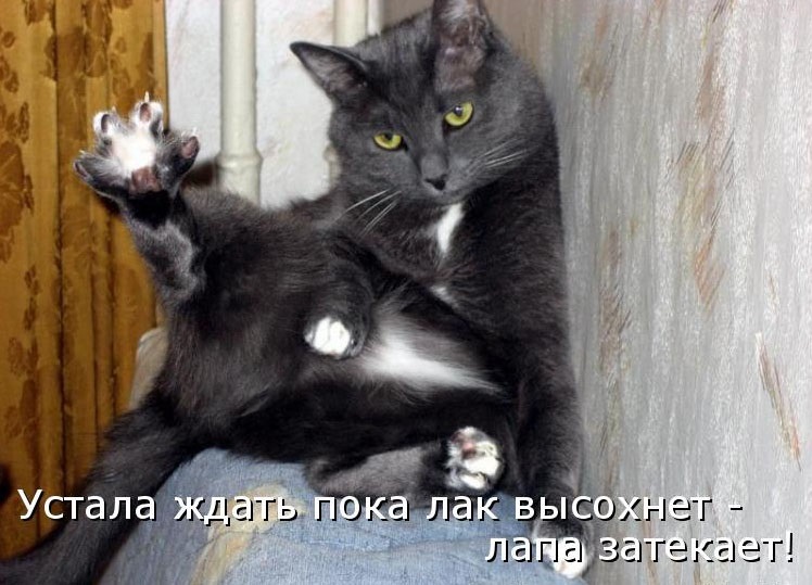 Хостинг картинок yapx.ru