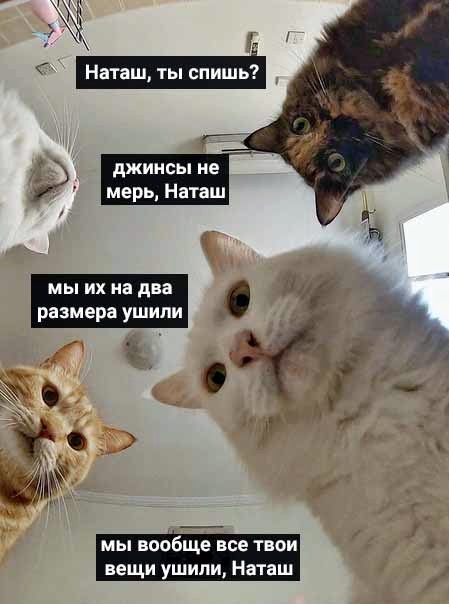 Хостинг картинок yapx.ru