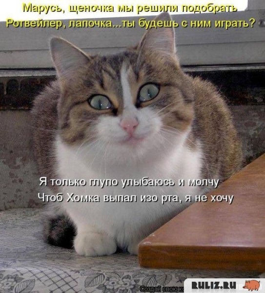 Хостинг картинок yapx.ru