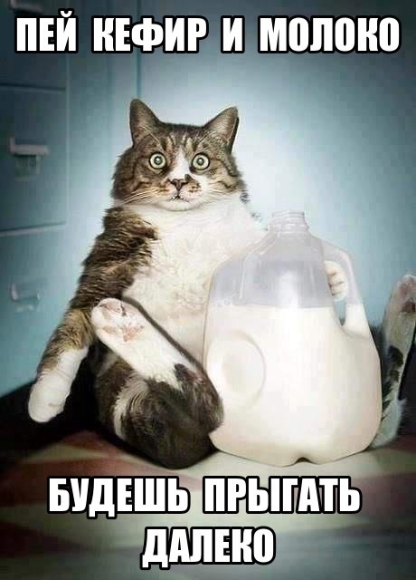 Хостинг картинок yapx.ru