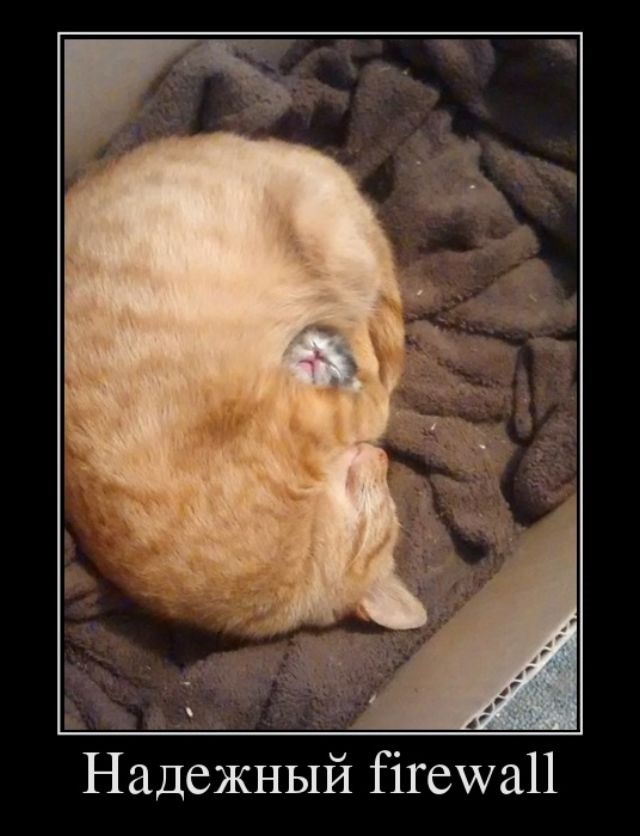 Хостинг картинок yapx.ru