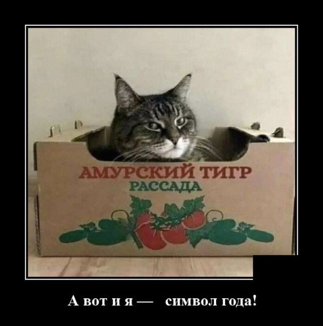 Хостинг картинок yapx.ru