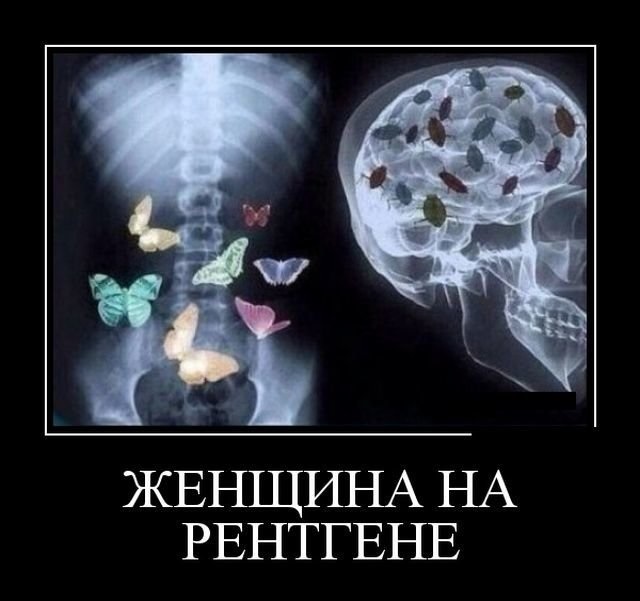 Хостинг картинок yapx.ru