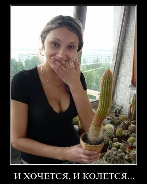 Хостинг картинок yapx.ru