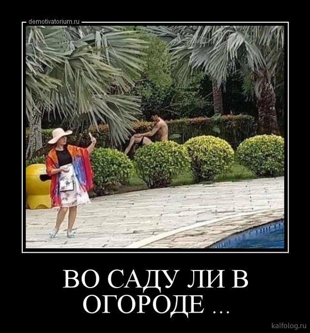 Хостинг картинок yapx.ru