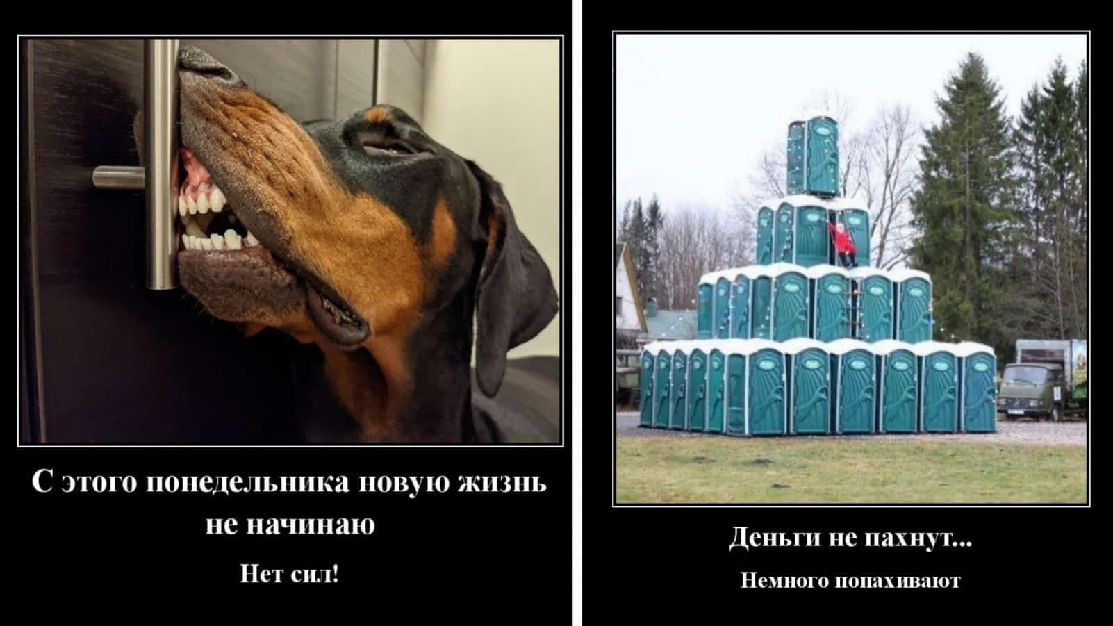 Хостинг картинок yapx.ru