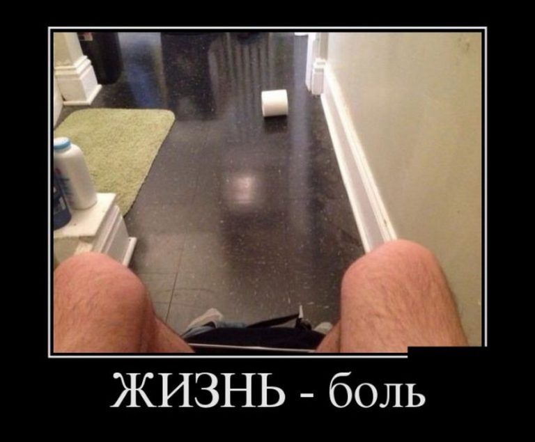 Хостинг картинок yapx.ru