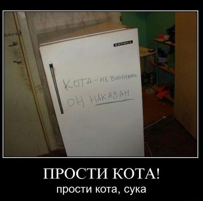 Хостинг картинок yapx.ru