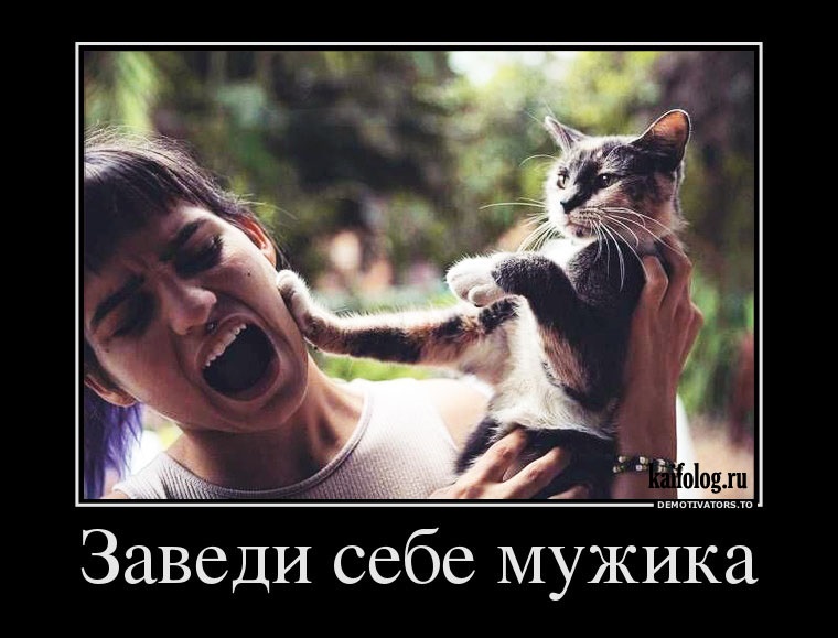 Хостинг картинок yapx.ru