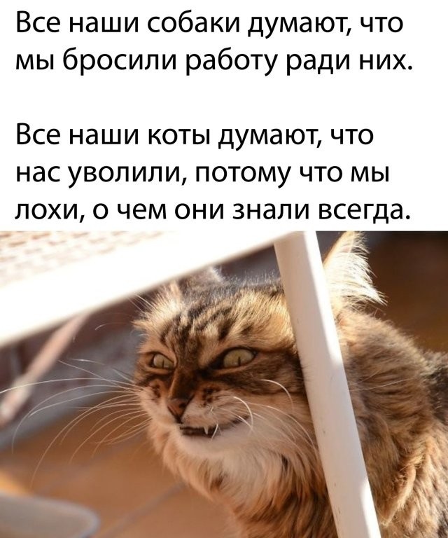 Хостинг картинок yapx.ru