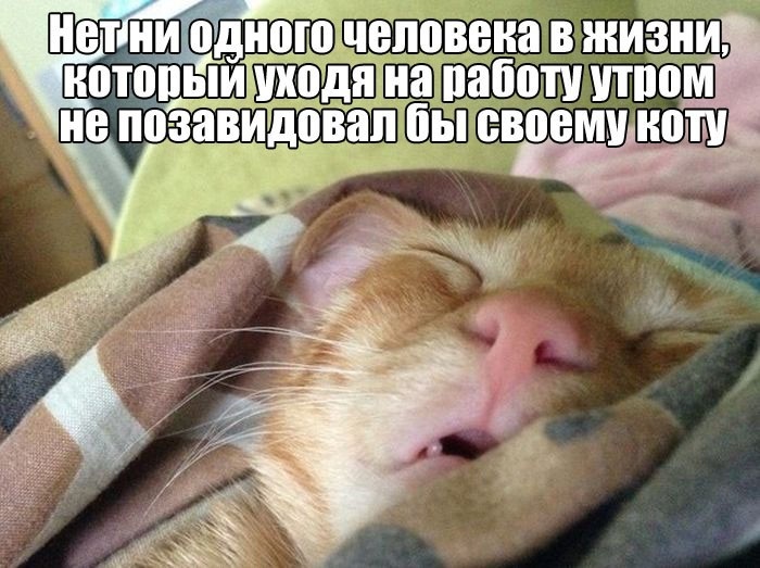 Хостинг картинок yapx.ru