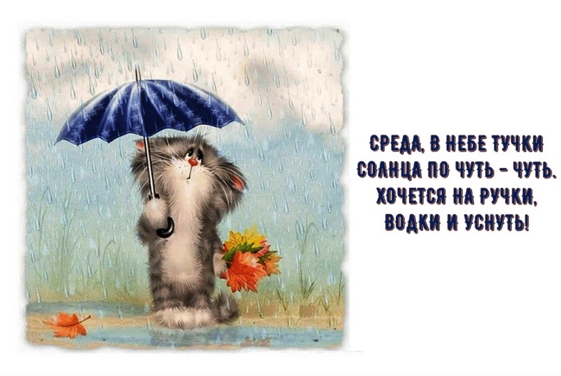 Хостинг картинок yapx.ru