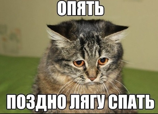 Хостинг картинок yapx.ru