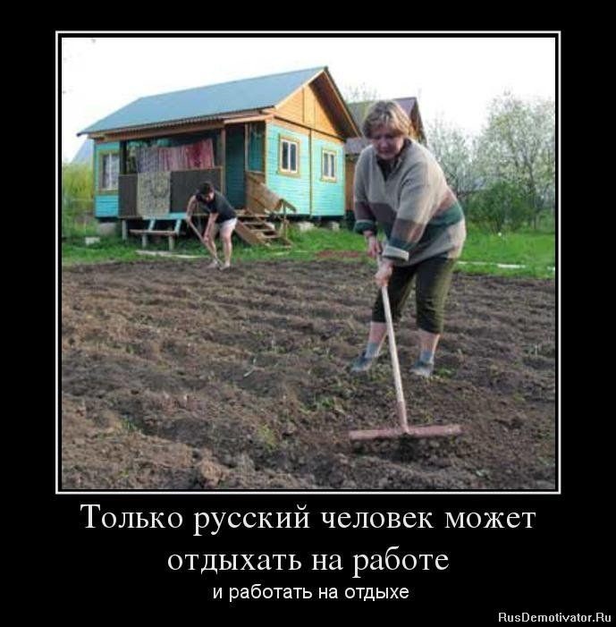 Хостинг картинок yapx.ru