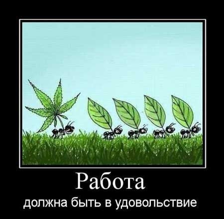 Хостинг картинок yapx.ru