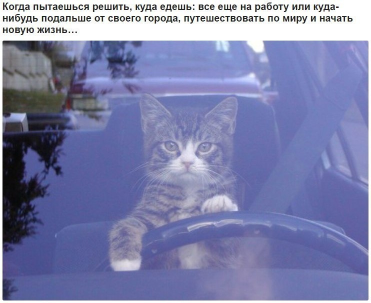 Хостинг картинок yapx.ru