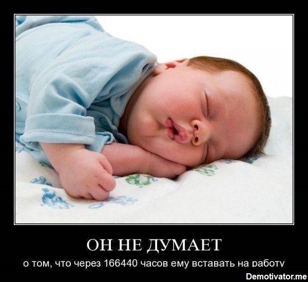 Хостинг картинок yapx.ru