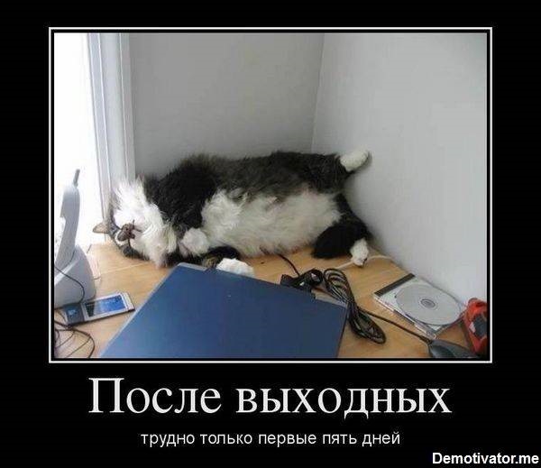 Хостинг картинок yapx.ru