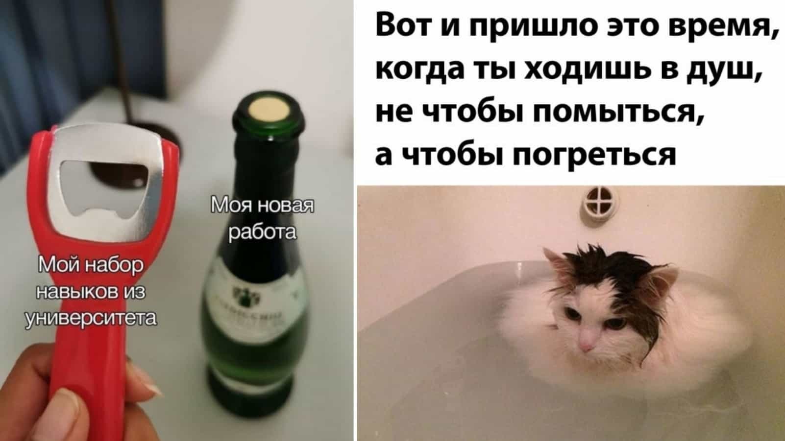 Хостинг картинок yapx.ru