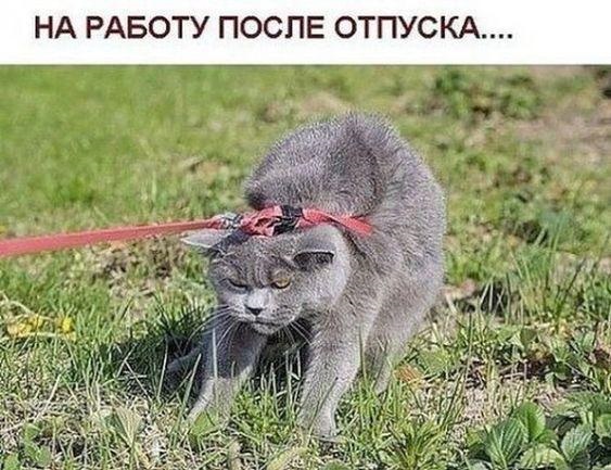 Хостинг картинок yapx.ru