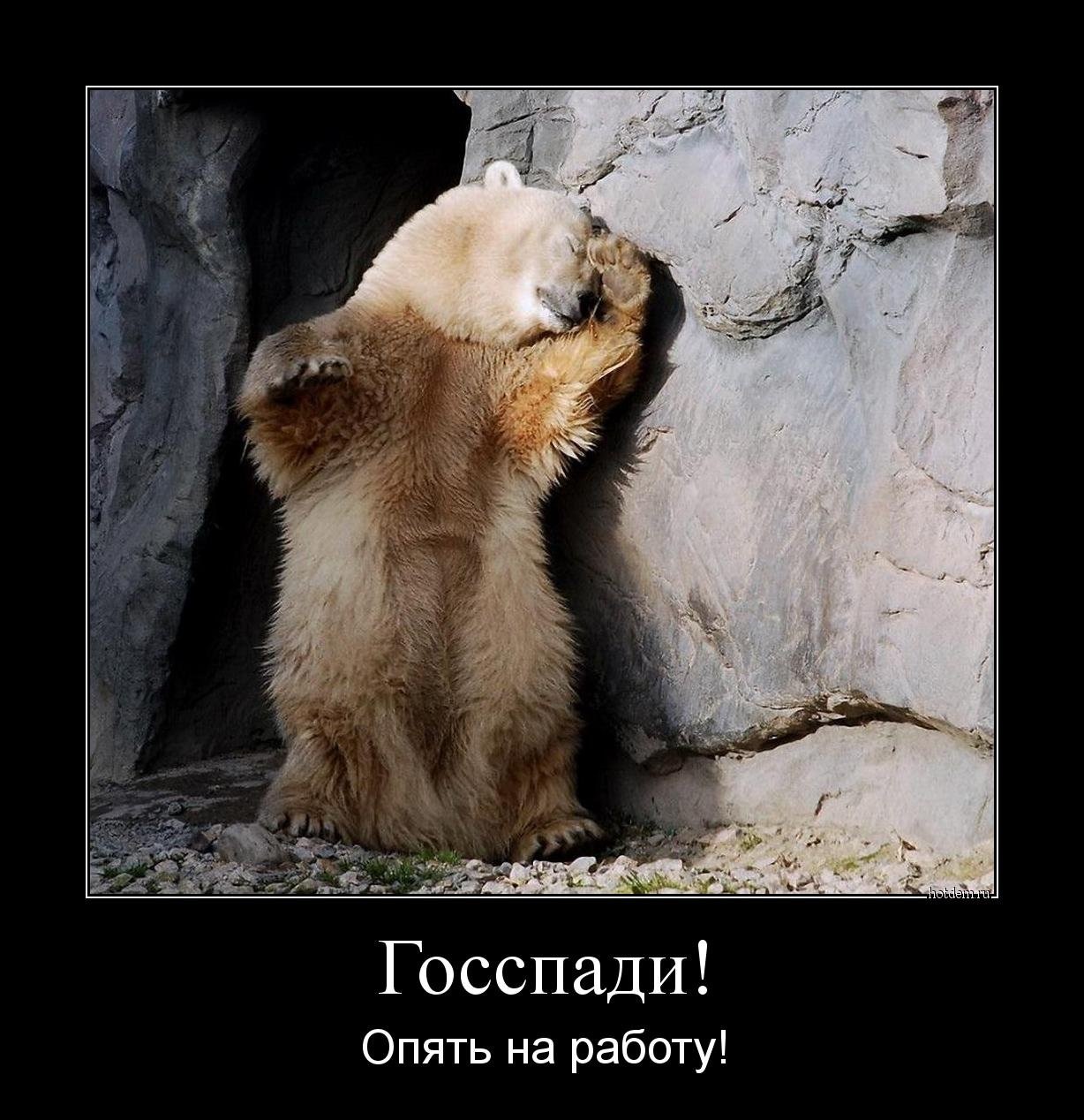 Хостинг картинок yapx.ru