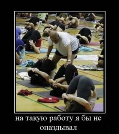 Хостинг картинок yapx.ru