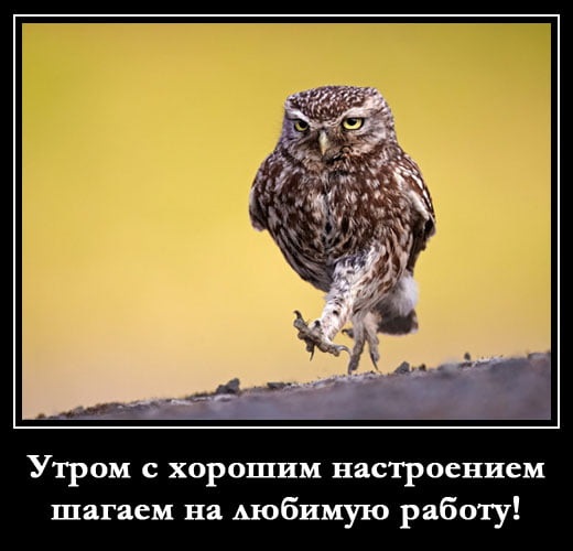 Хостинг картинок yapx.ru