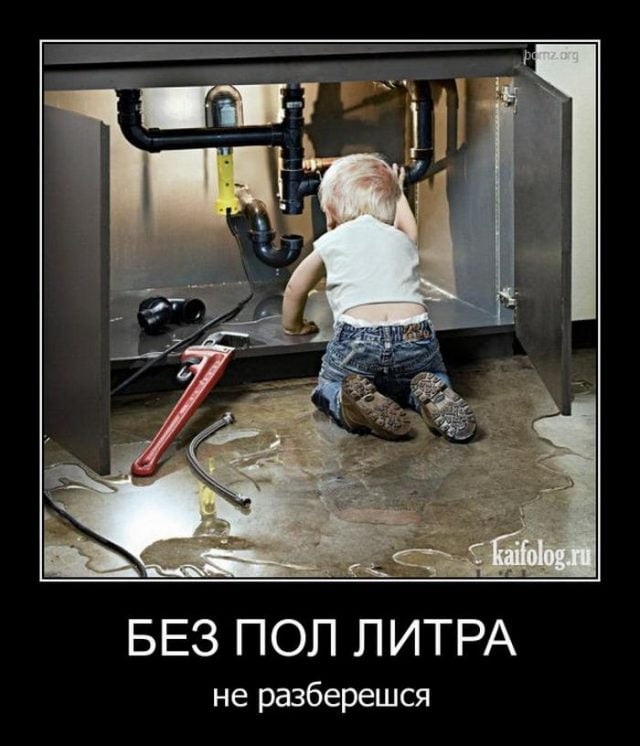 Хостинг картинок yapx.ru