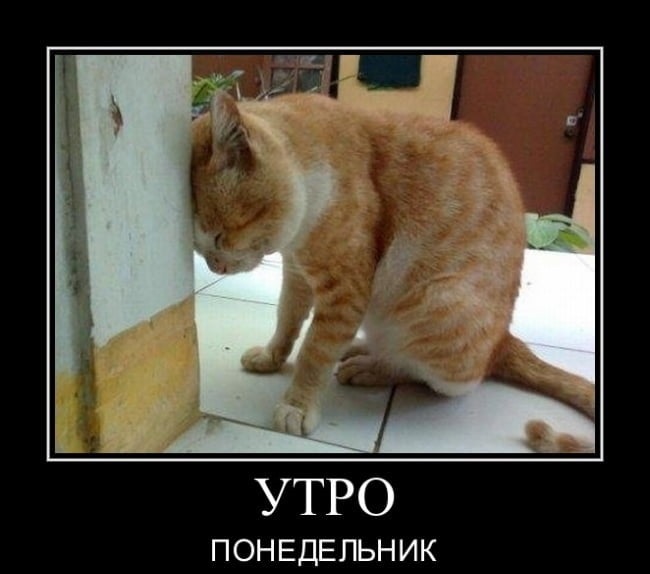 Хостинг картинок yapx.ru