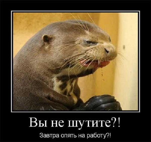 Хостинг картинок yapx.ru