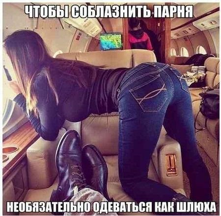 Хостинг картинок yapx.ru