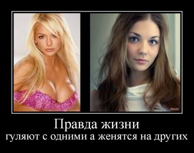 Хостинг картинок yapx.ru