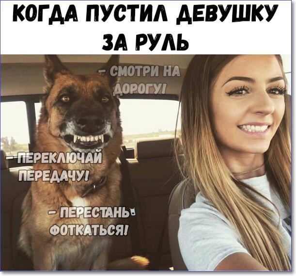 Хостинг картинок yapx.ru