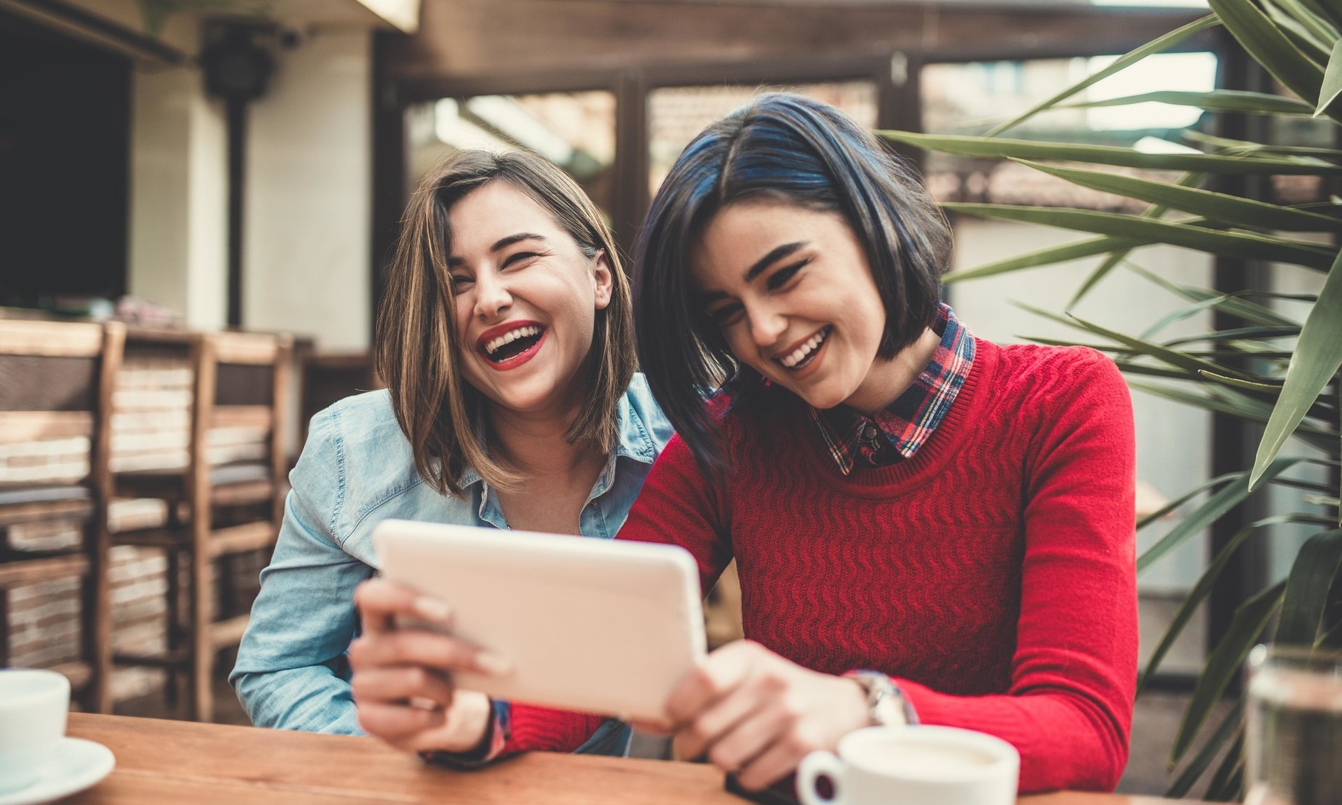 Хостинг картинок yapx.ru